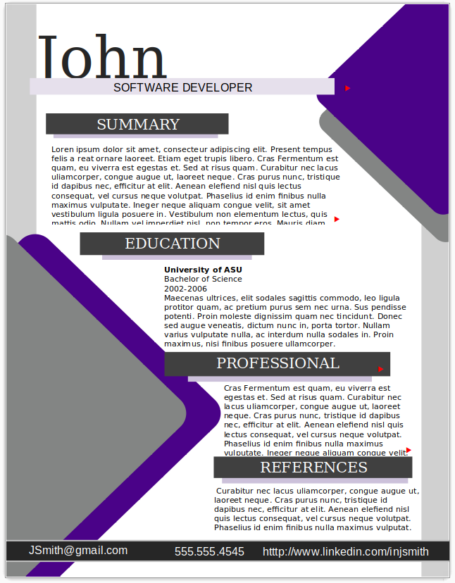 Software Developer