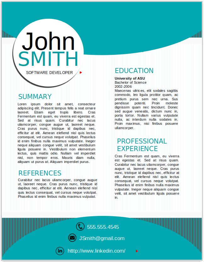 Software Developer