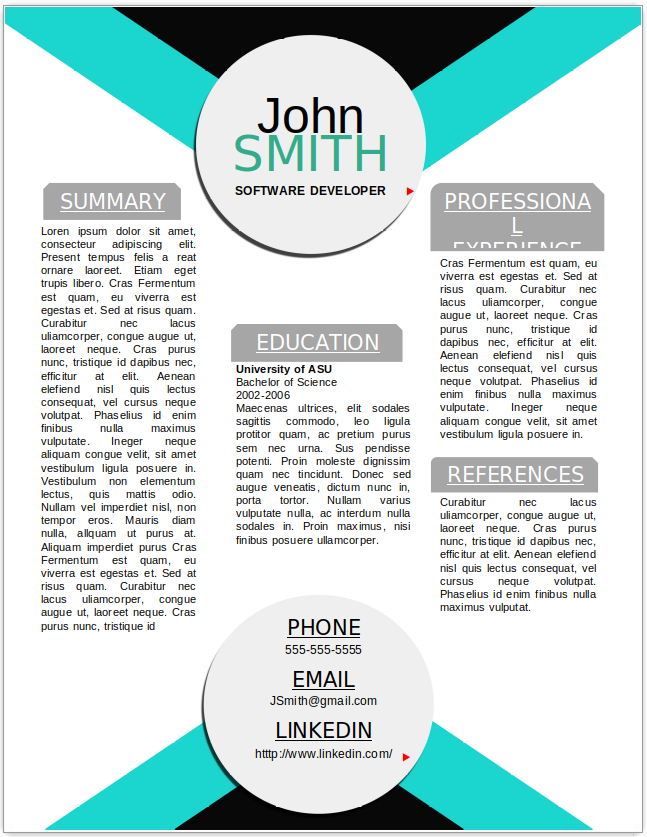 Software Developer