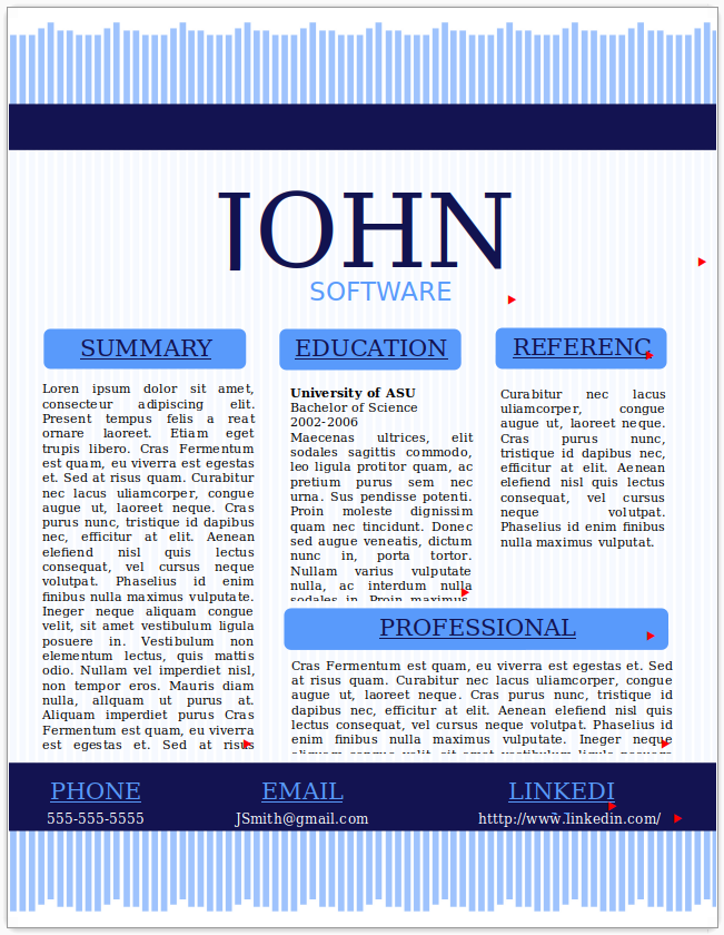 Software Developer
