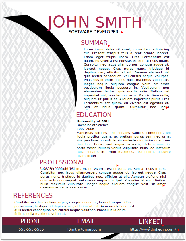Software Developer
