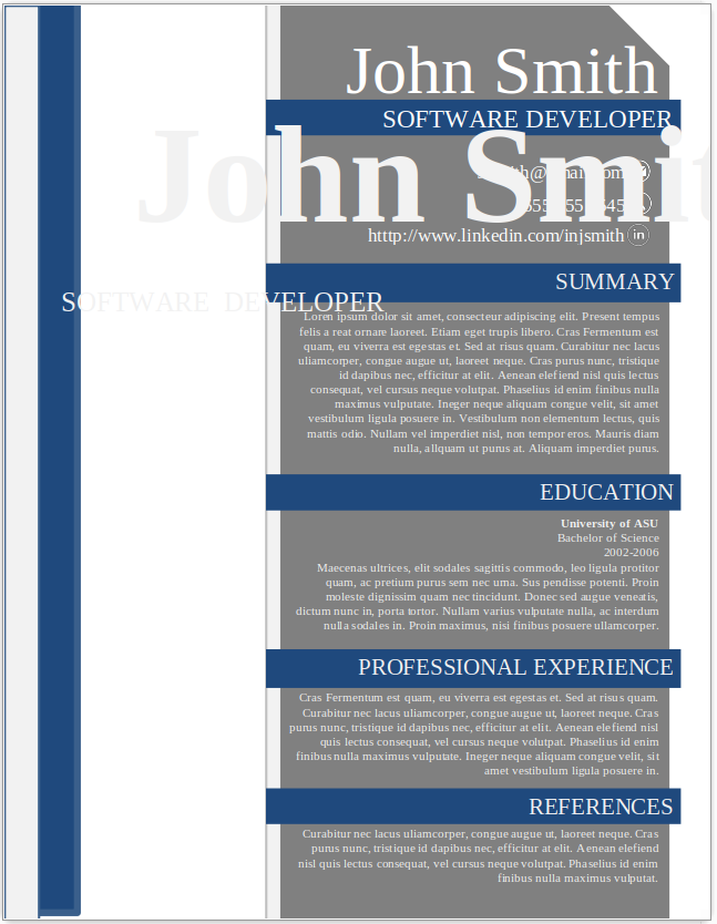 Software Developer