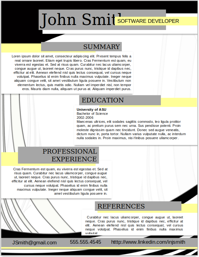 Software Developer